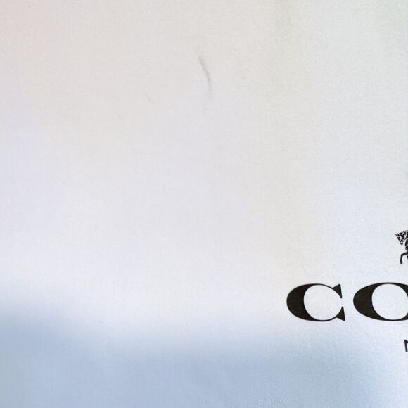 Coach Dustcover For Handbag -- Approx 19x15" -- Drawstring - Picture 4 of 4